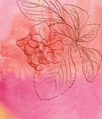 Fototapete Skizze von Rosen und Blättern