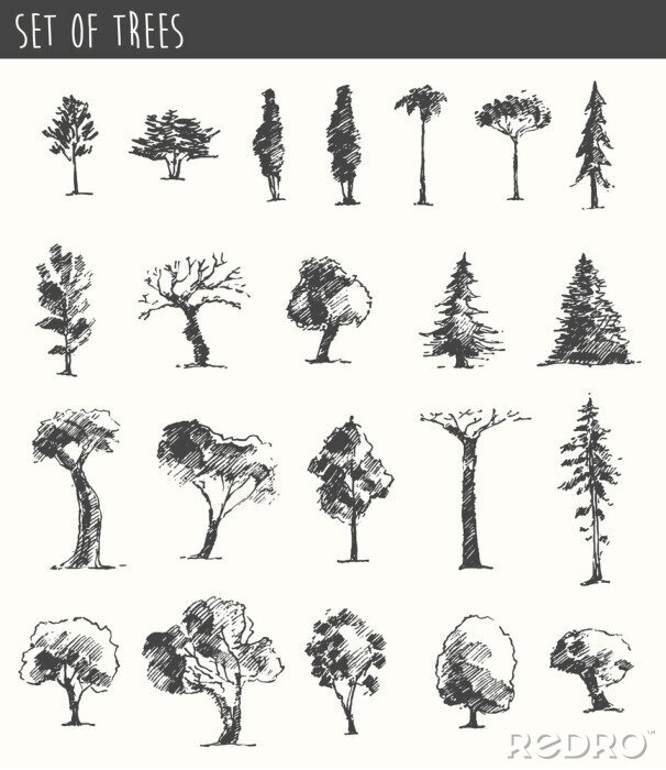 Fototapete Skizzen der Bäume