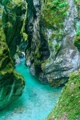Fototapete Smaragdgrüner Fluss Soča im Sloweniens Nationalpark