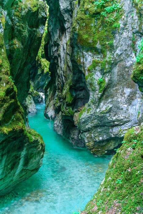 Fototapete Smaragdgrüner Fluss Soča im Sloweniens Nationalpark