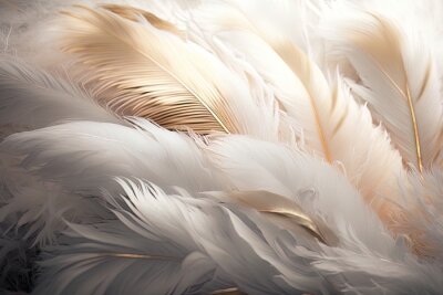 Fototapete Soft and fluffy background, bird feathers, white and gold pastel colored feathers. AI