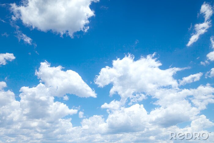 Fototapete Sommerlandschaft mit dem Himmel