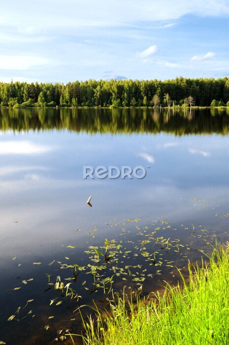 Fototapete Sommermorgen See