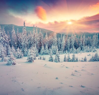 Fototapete Sonne in den winterlichen Bergen