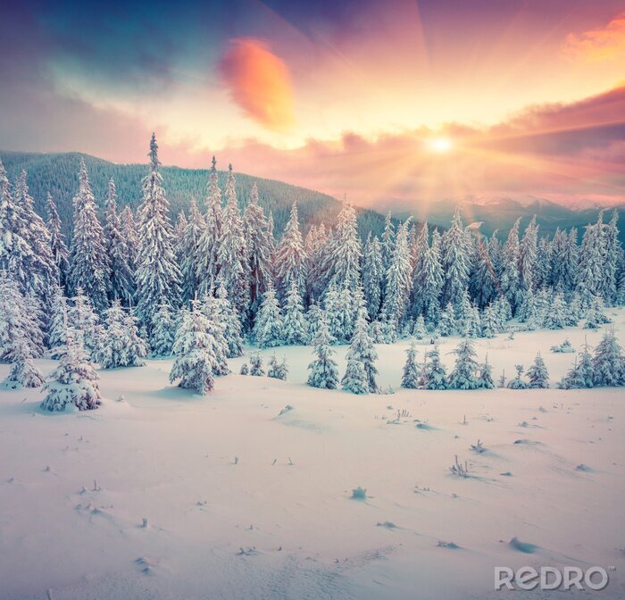 Fototapete Sonne in den winterlichen Bergen