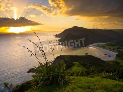 Fototapete Sonnenaufgang an der Küste Neuseelands