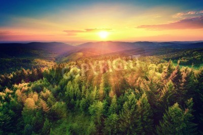 Fototapete Sonnenaufgang grüner Wald