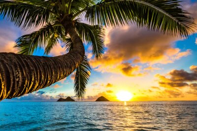 Fototapete Sonnenaufgang in Hawaii