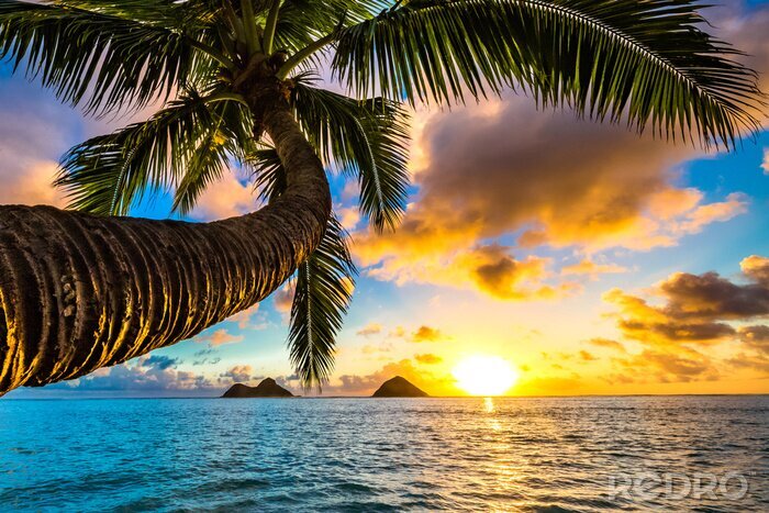 Fototapete Sonnenaufgang in Hawaii
