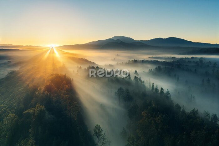 Fototapete Sonnenaufgang über einer nebligen Waldlandschaft