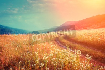 Fototapete Sonnenaufgang über Wiese