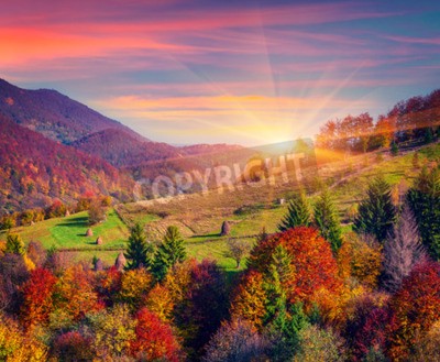 Fototapete Sonnenaufgang und Herbstbäume