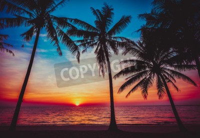 Fototapete Sonnenaufgang unter Palmen