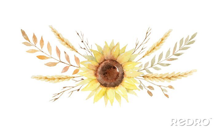 Fototapete Sonnenblume auf einer Boho-Illustration