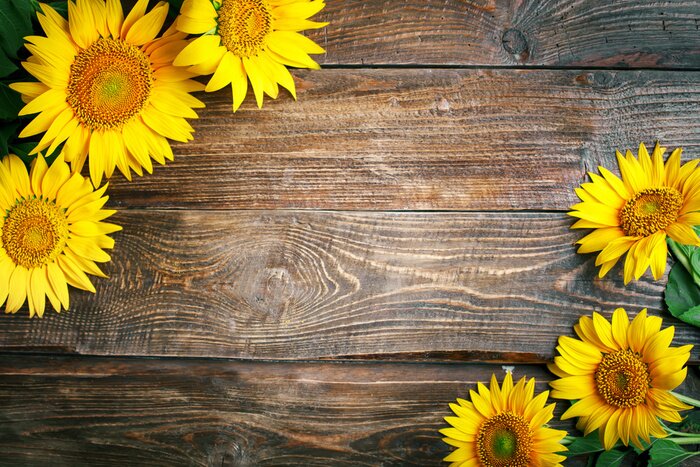 Fototapete Sonnenblumen auf braunem Holz