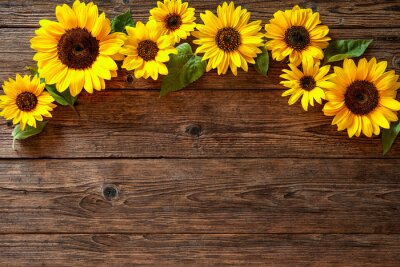 Sonnenblumen auf braunen Brettern