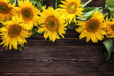 Fototapete Sonnenblumen auf Brettern