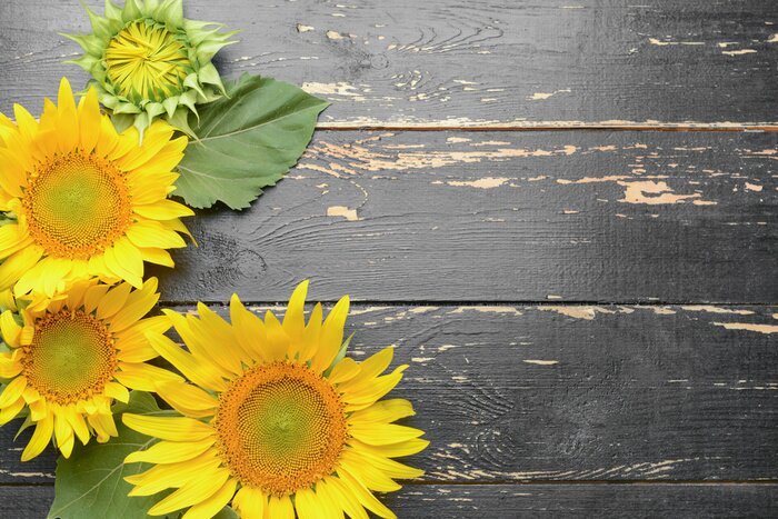 Fototapete Sonnenblumen auf dem Holzhintergrund
