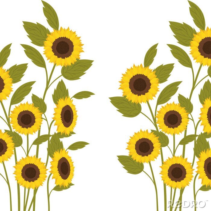 Fototapete Sonnenblumen auf langen Stängeln