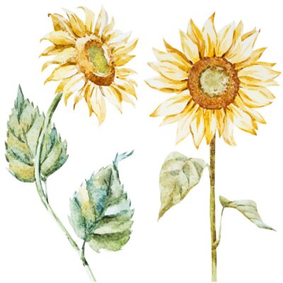 Fototapete Sonnenblumen im Boho-Stil