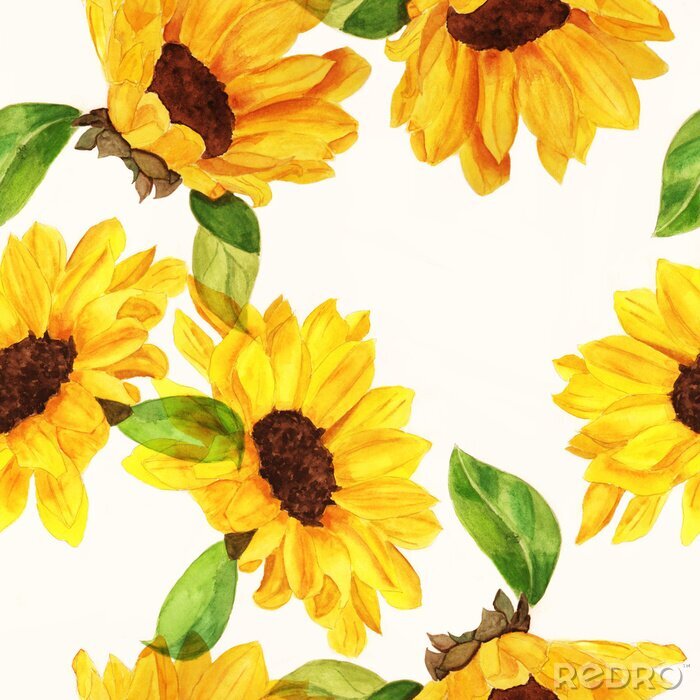 Fototapete Sonnenblumen und grüne Blätter