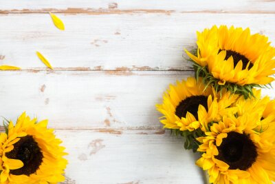 Fototapete Sonnenblumen und rustikales Holz