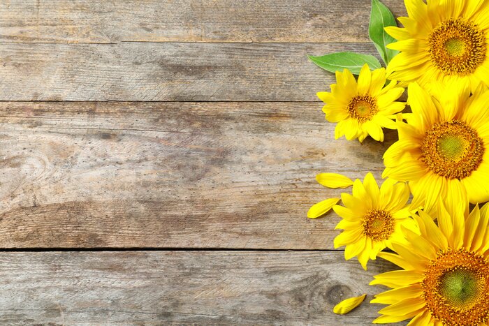 Fototapete Sonnenblumen vor dem Hintergrund der Bretter