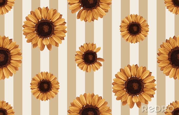 Fototapete Sonnenblumen vor dem Hintergrund der Streifen