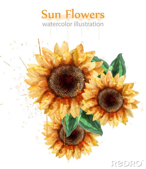 Fototapete Sonnenblumen wie gemalt