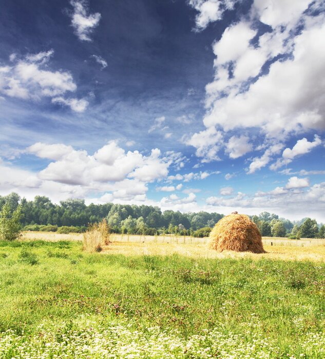 Fototapete Sonnenfeld und Himmel