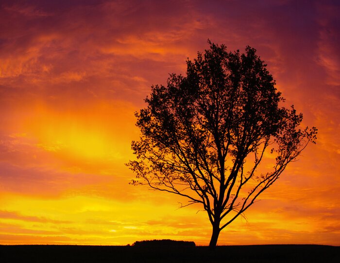 Fototapete Sonnenuntergang Afrika 3D