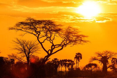 Fototapete Sonnenuntergang Afrika und Natur