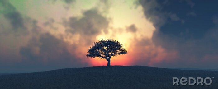 Fototapete Sonnenuntergang hinter dem Baum im Schatten