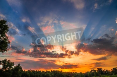 Fototapete Sonnenuntergang im Garten