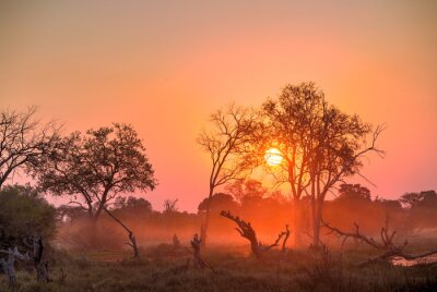 Sonnenuntergang in Afrika