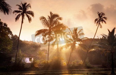 Fototapete Sonnenuntergang mit Palmen