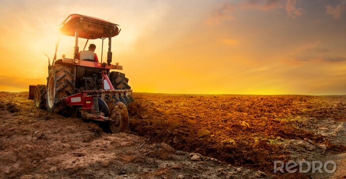 Fototapete Sonnenuntergang über einem Traktorfeld