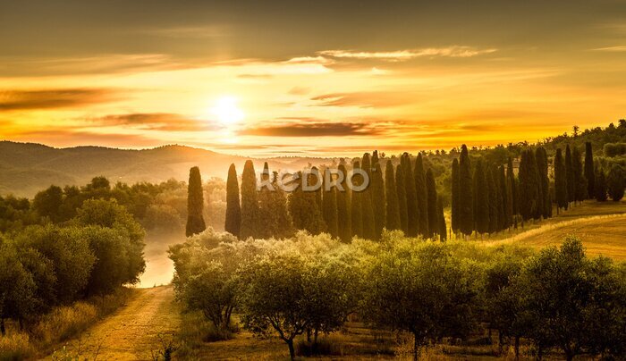Fototapete Sonnenuntergang über toskanischen Feldern