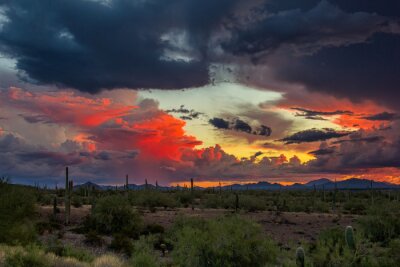 Fototapete Sonnenuntergang über Wüstenfeld