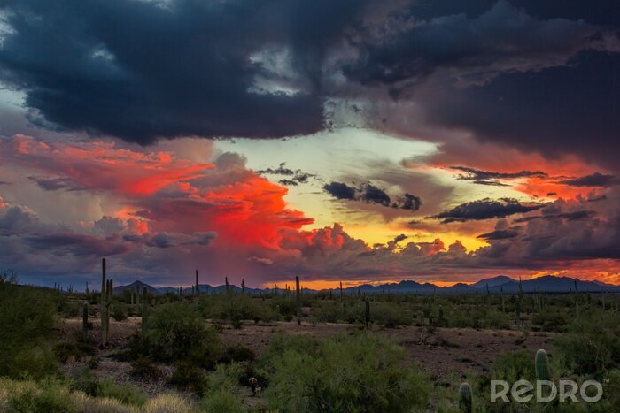 Fototapete Sonnenuntergang über Wüstenfeld