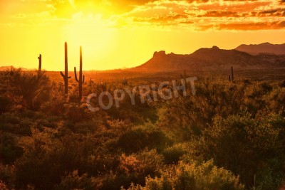 Fototapete Sonnenuntergang Wüste