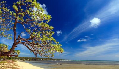 Sonnige Landschaft am Meer