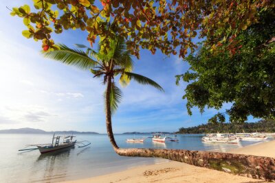 Sonnige Landschaft mit einem Strand