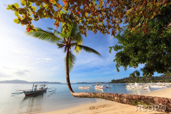 Fototapete Sonnige Landschaft mit einem Strand
