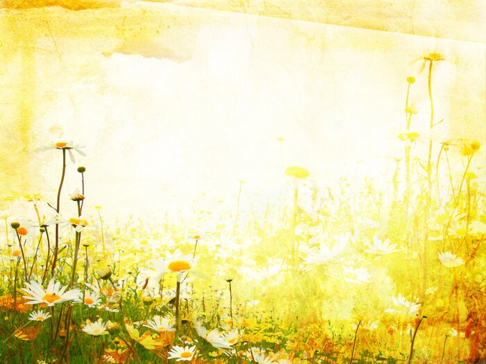 Fototapete Sonnige Natur