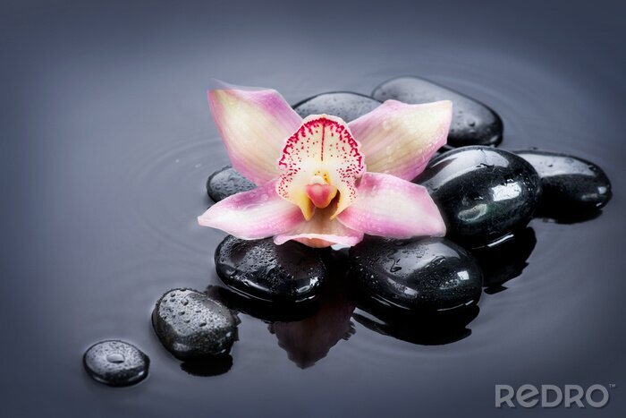 Fototapete Spa Zen-Steine