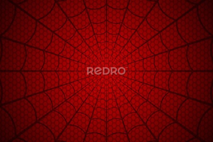 Fototapete Spinnennetz auf rotem Grund