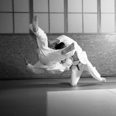 Fototapete Sport-Judo-Schau