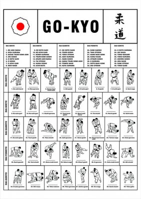 Fototapete Sportanleitung für Judo