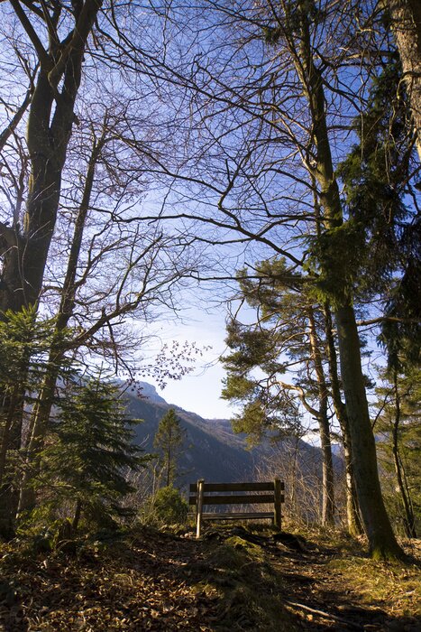 Fototapete Springday in den Bergen - Bayern, Deutschland